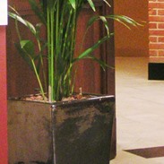 Bacs à plantes en céramique