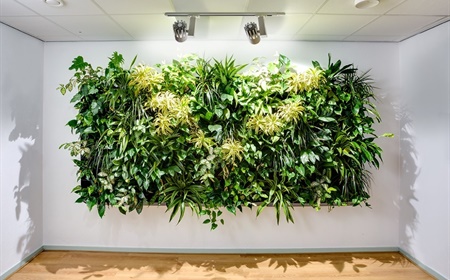 Des murs végétaux pour les entreprises