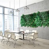 Mur végétal dans votre bureau ? Inspiration
