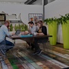 Une panoplie de plantes de bureau : choisissez votre assortiment sur-mesure pour votre entreprise