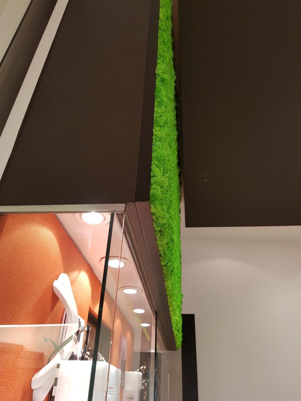 Optiek Van Den Balck