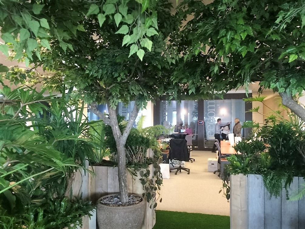 planten en bomen in kantoor