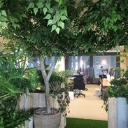 Leasing of Plants for Offices