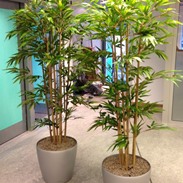 Artificial plants and trees