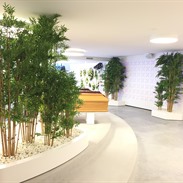 Artificial plants and trees