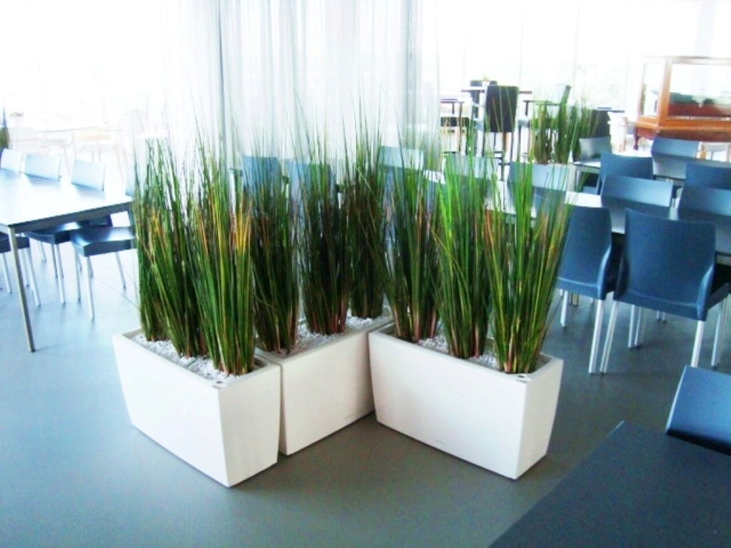 planten, artificiële en kunstplanten kopen of