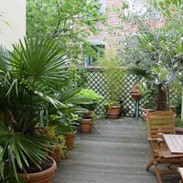 Acheter ou louer des plantes de terrasse?