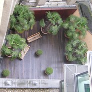 Roof Gardens