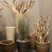 Natural plant holders