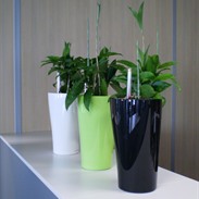 Plastic plant holders