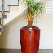 Bacs à plantes en céramique