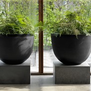Design planters