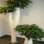 Design planters