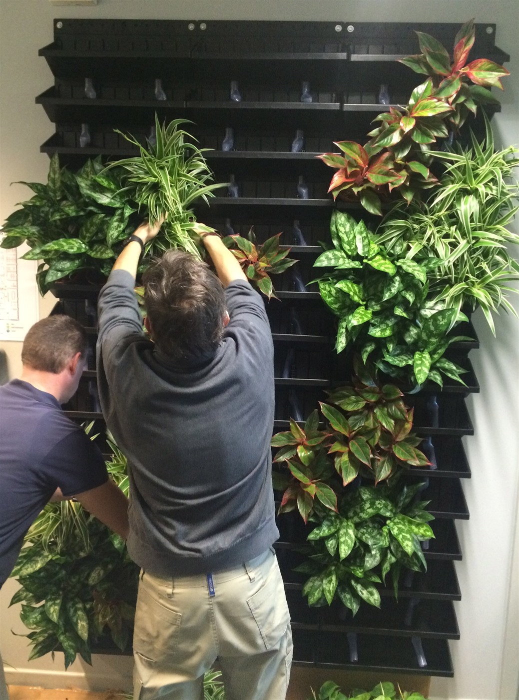 Nextgen Living Wall Zoom Nextgen Living Green Walls