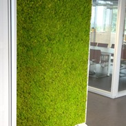 Profitez de murs végétaux Moss Fashion
