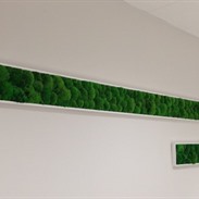 Stabilized green walls