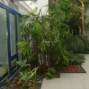 Interior gardens
