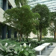 Interior gardens