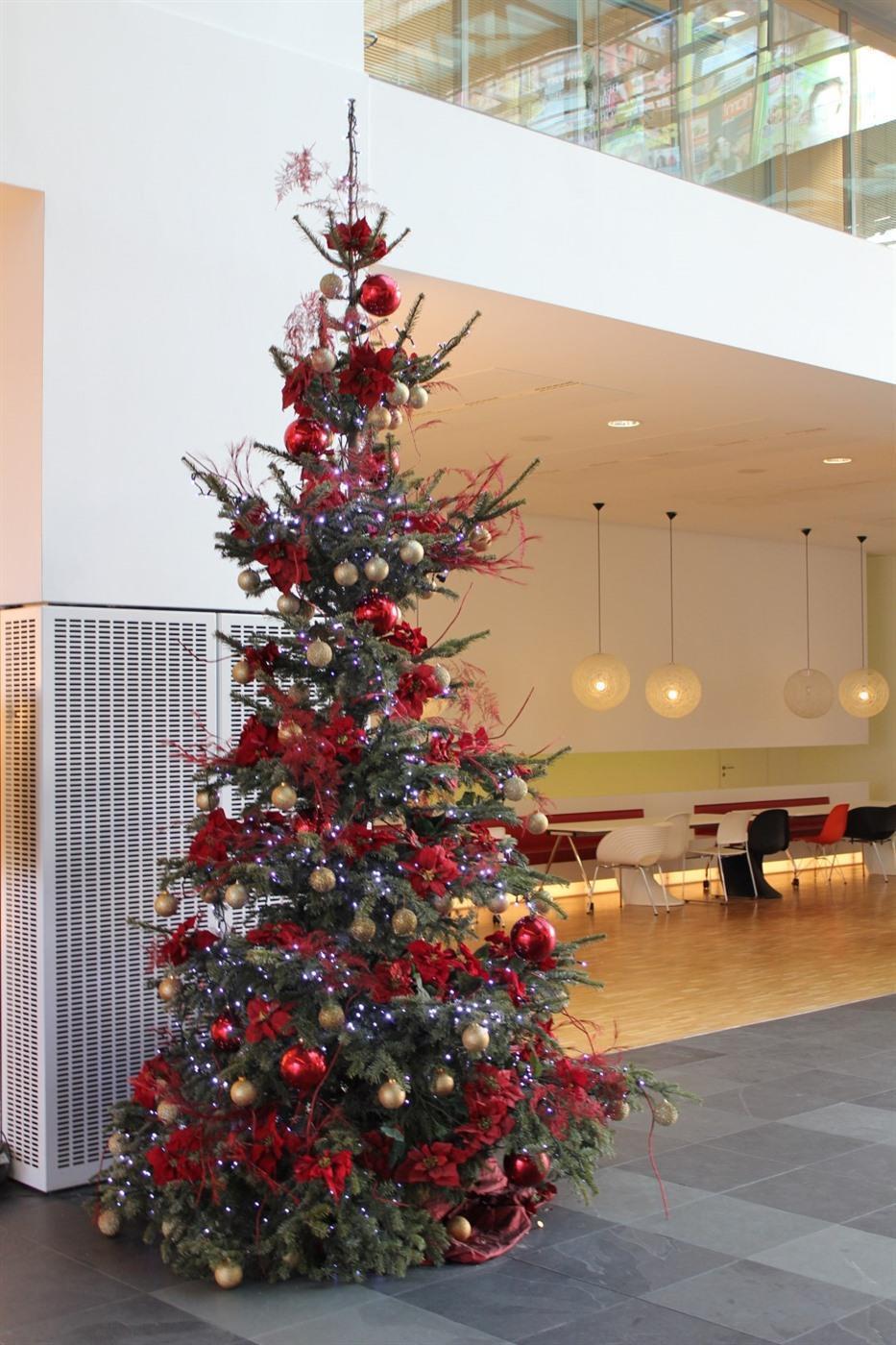 Rent a Christmas tree Rent Christmas Tree