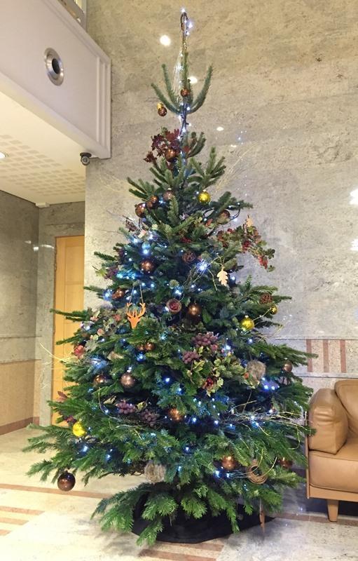 Rent a Christmas tree Christmas Tree For Rent