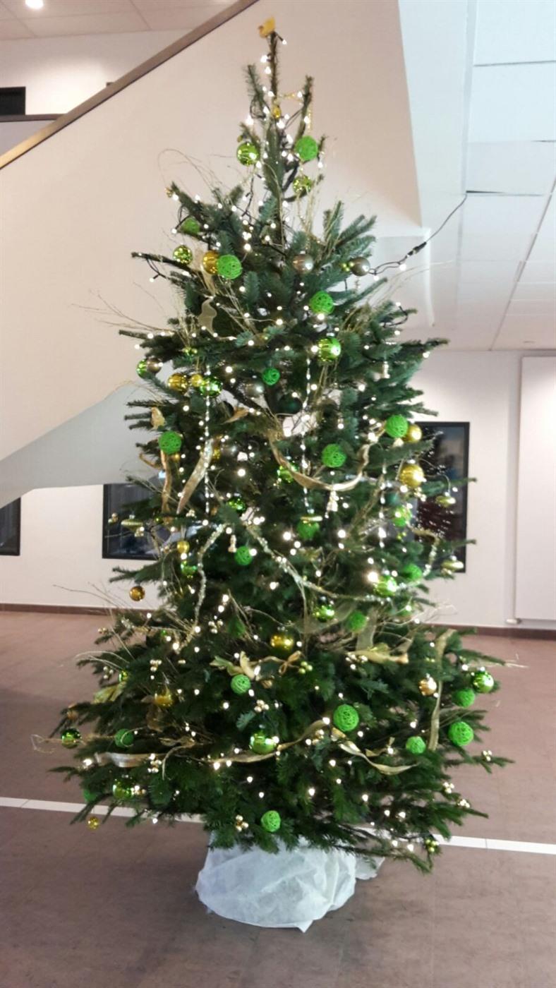 Rent a Christmas tree Rent Christmas Tree