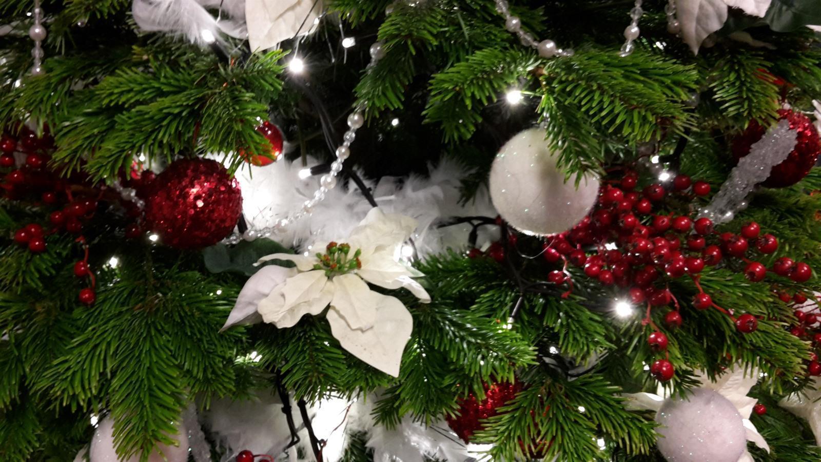 Rent a Christmas tree Rent Christmas Tree