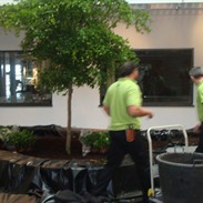 Biocartis