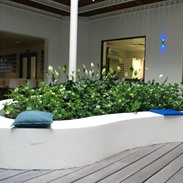 Biocartis