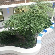 Jardin d'intérieur chez Biocartis