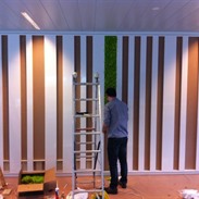 Mur végétal chez Sanoma