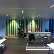 Mur végétal chez Sanoma