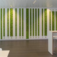 Mur végétal chez Sanoma