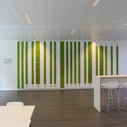 Mur végétal chez Sanoma
