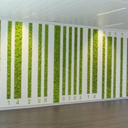 Mur végétal chez Sanoma