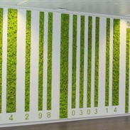 Mur végétal chez Sanoma