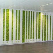 Sanoma: bekroonde groene muur