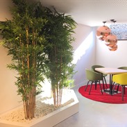 artficiële beplanting/plantes artificielles