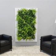 Live Picture made up of plants