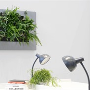 LivePicture® cadre vivant avec des plantes naturelles