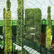 Green Colums: hanging gardens with an automatic irrigation system