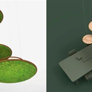 G-Line: design dividers with moss