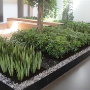 Soenen Packaging