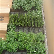 Soenen Packaging
