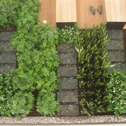 Soenen Packaging