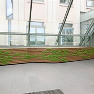 Goemaere: groen met mos!