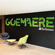 Goemaere