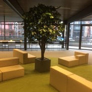 Arbres artificiels: l’alternative sans entretien