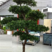 Arbres artificiels: l’alternative sans entretien