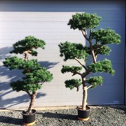 Arbres artificiels: l’alternative sans entretien