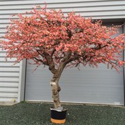 Arbres artificiels: l’alternative sans entretien
